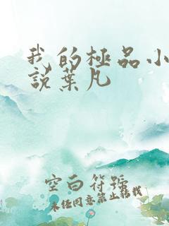 我的极品小姨小说叶凡