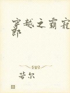 穿越之霸宠小夫郎