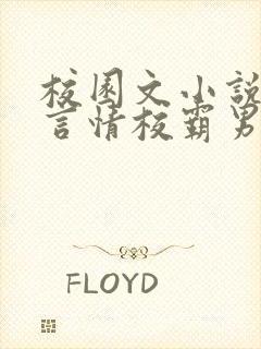 校园文小说推荐言情校霸男主