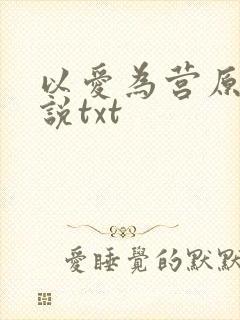 以爱为营原著小说txt