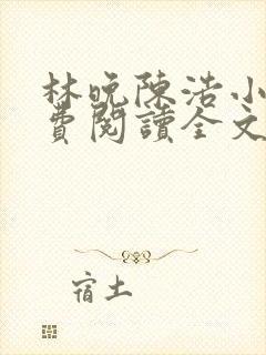 林晚陈浩小说免费阅读全文最新章节