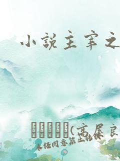 小说主宰之心