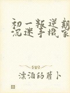 初一叛逆期男孩沉迷手机家长应怎么办