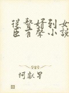 从赘婿到女帝宠臣有声小说完整