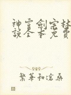 神霄剑宗林枫小说全本免费阅读