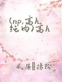 (np,高h,纯肉)高h