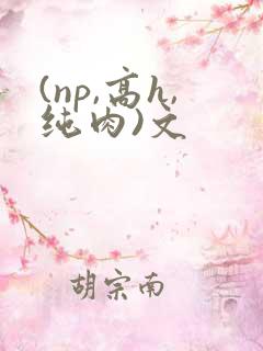 (np,高h,纯肉)文