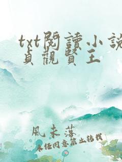 txt阅读小说贞观贤王