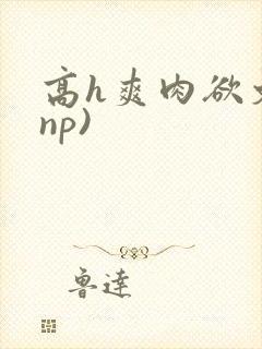 高h爽肉欲文(np)