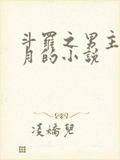 斗罗之男主是邪月的小说