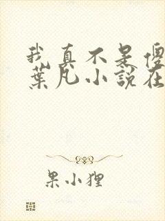 我真不是傻子了叶凡小说在线阅读