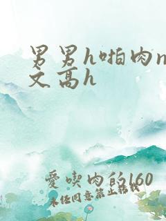 男男h啪肉np文高h