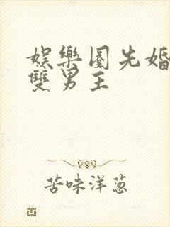 娱乐圈先婚后爱双男主