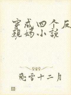 穿成四个反派的亲妈小说