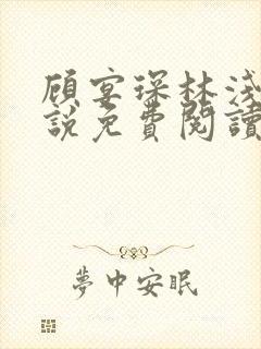 顾宴琛林浅月小说免费阅读最新章节