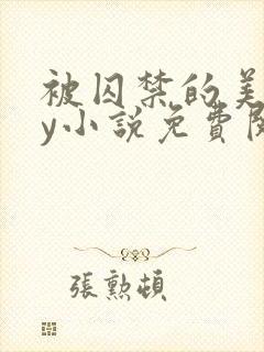 被囚禁的美人by小说免费阅读