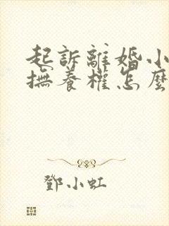 起诉离婚小孩的抚养权怎么判