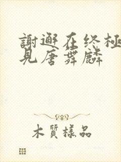 谢邂在终极斗罗见唐舞麟