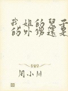 我姐的儿子是我的外甥还是侄子