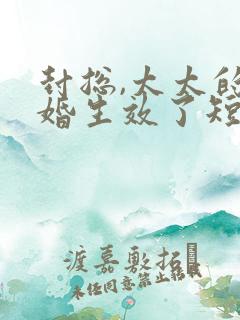 封总,太太的离婚生效了短剧全集播放