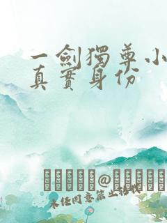 一剑独尊小道的真实身份