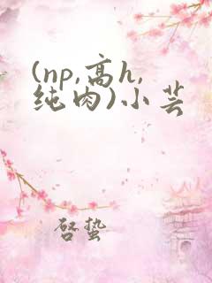 (np,高h,纯肉)小芸