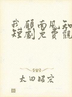 我愿南风知晚意短剧免费观看完整版