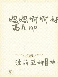 嗯嗯啊啊好爽啊 高h np