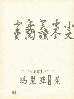 少年吴云小说免费阅读全文