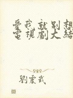 爱我就别想太多电视剧大结局