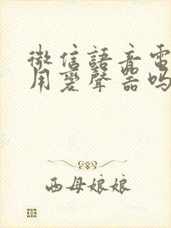 微信语音电话能用变声器吗