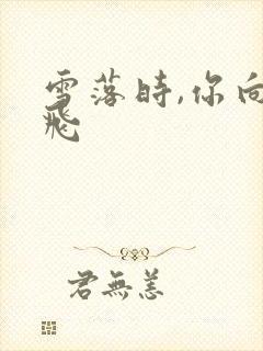 雪落时,你向南飞