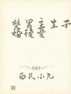 双男主生子文先婚后爱