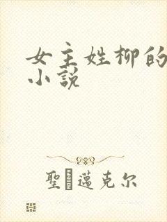 女主姓柳的穿越小说