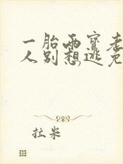 一胎两宝老婆大人别想逃免费阅读全文小说