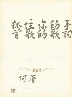 抓住你的手是哪首歌的歌词