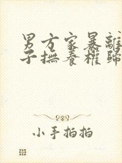 男方家暴离婚孩子抚养权归谁