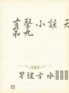 有声小说 天下第九