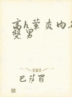 高h荤爽肉欲文双男