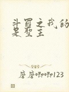 斗罗之我的武魂是圣主