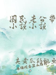 国民老公带回家小说小说