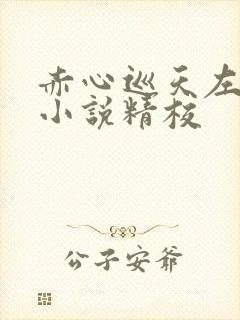 赤心巡天左光烈小说精校