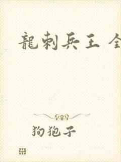 龙刺兵王 全文