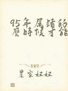 95年属猪的什么时候才能结婚