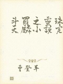 斗罗之灵珠神剑天麟小说完整版下载txt