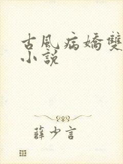 古风病娇双男主小说