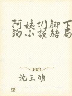 阿姨们脚下的贱狗小说结局