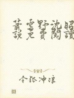 萧云野沈昭宁小说免费阅读最新章节