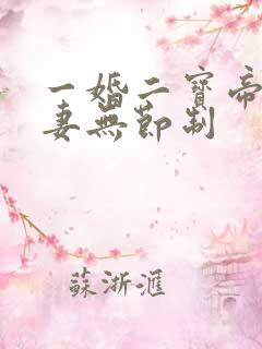 一婚二宝帝少宠妻无节制