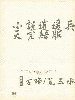 小说逍遥兵王洛天完结版